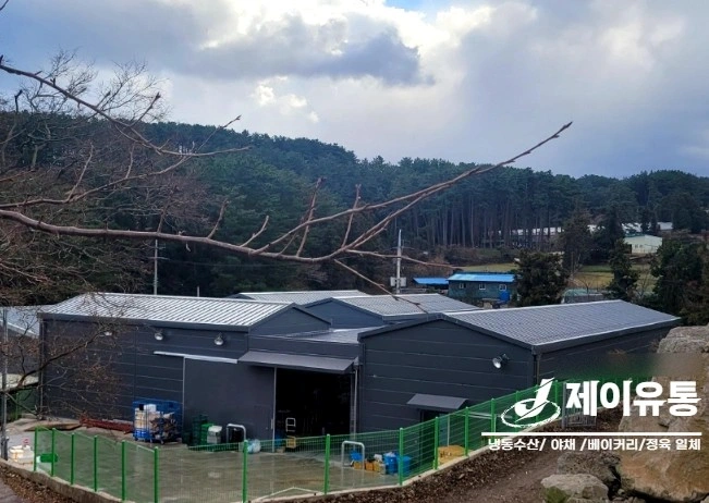 식자재 유통 오전 배송기사님 모집합니다!!