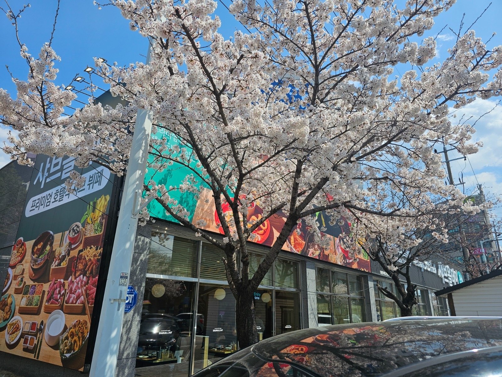 샤브올데이 동해점 홀 직원(알바) 채용 공고 썸네일