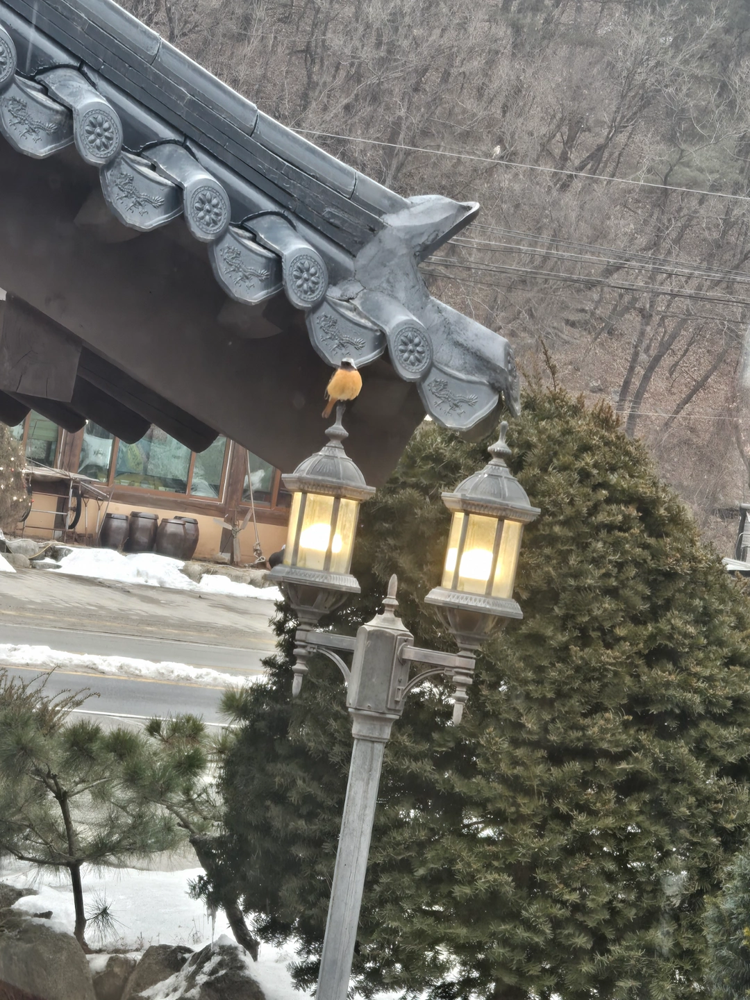 서빙및 주방직원모심