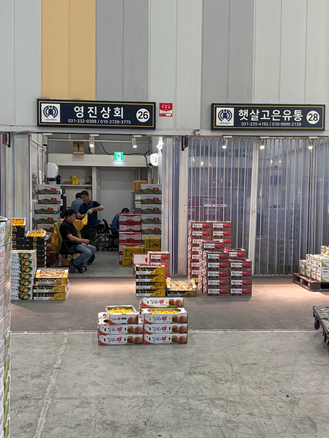 농수산물시장 영진상회에서 같이일 할 분 구합니다