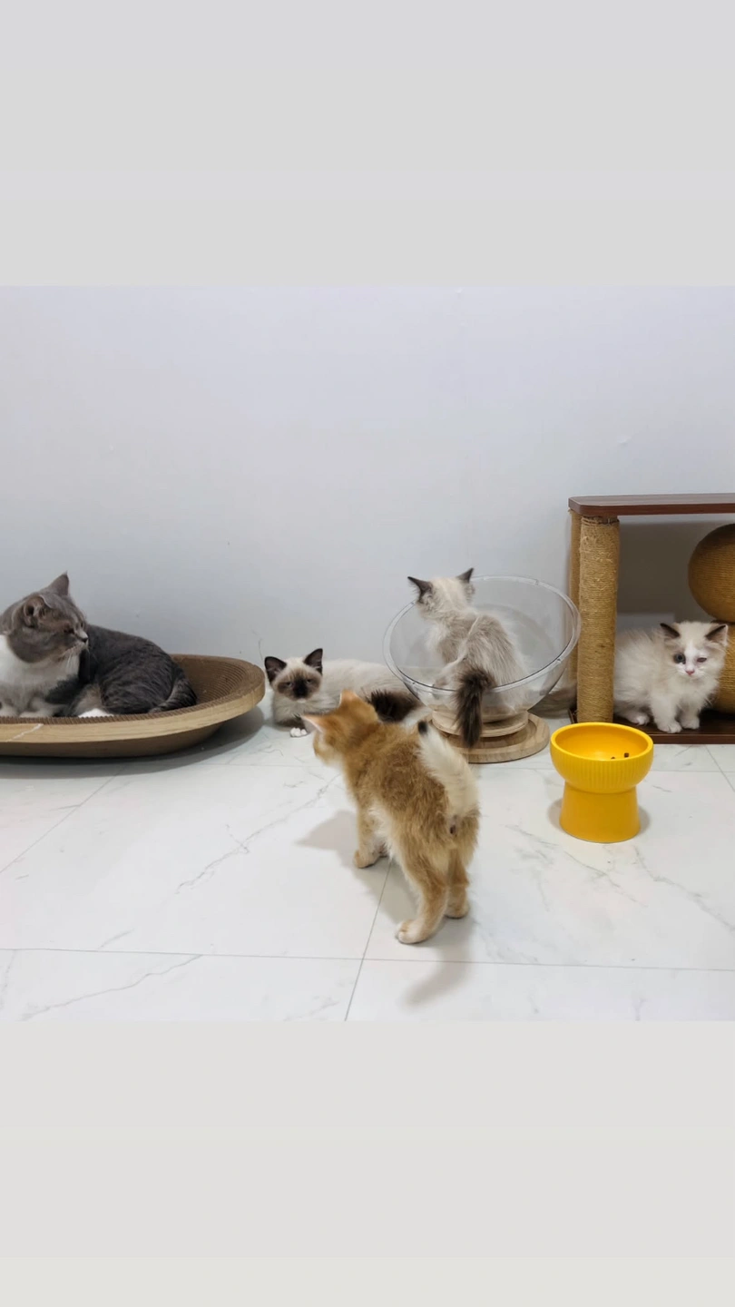 동물 구조관리사 직원 채용 운전가능자