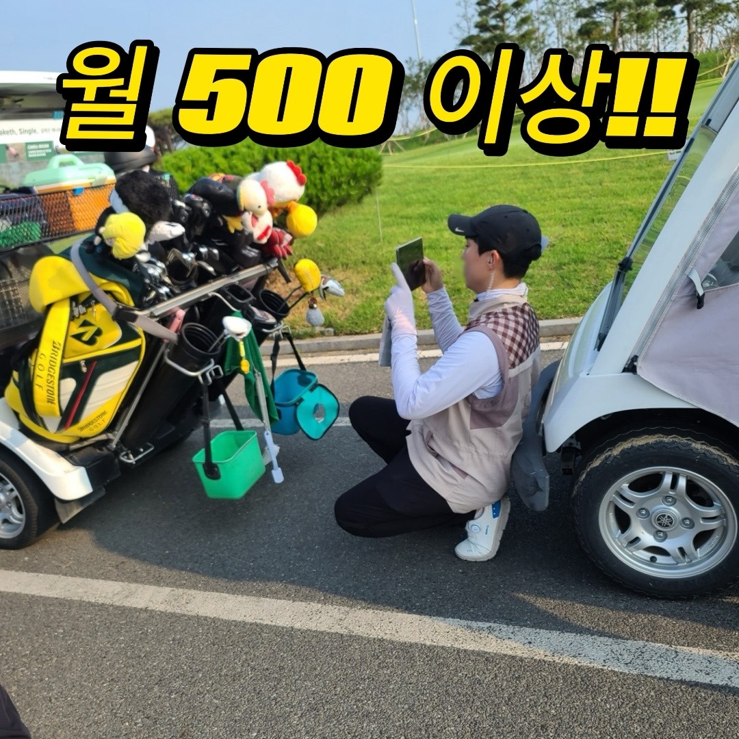 골프장 신입캐디 대규모 채용! 공고 썸네일