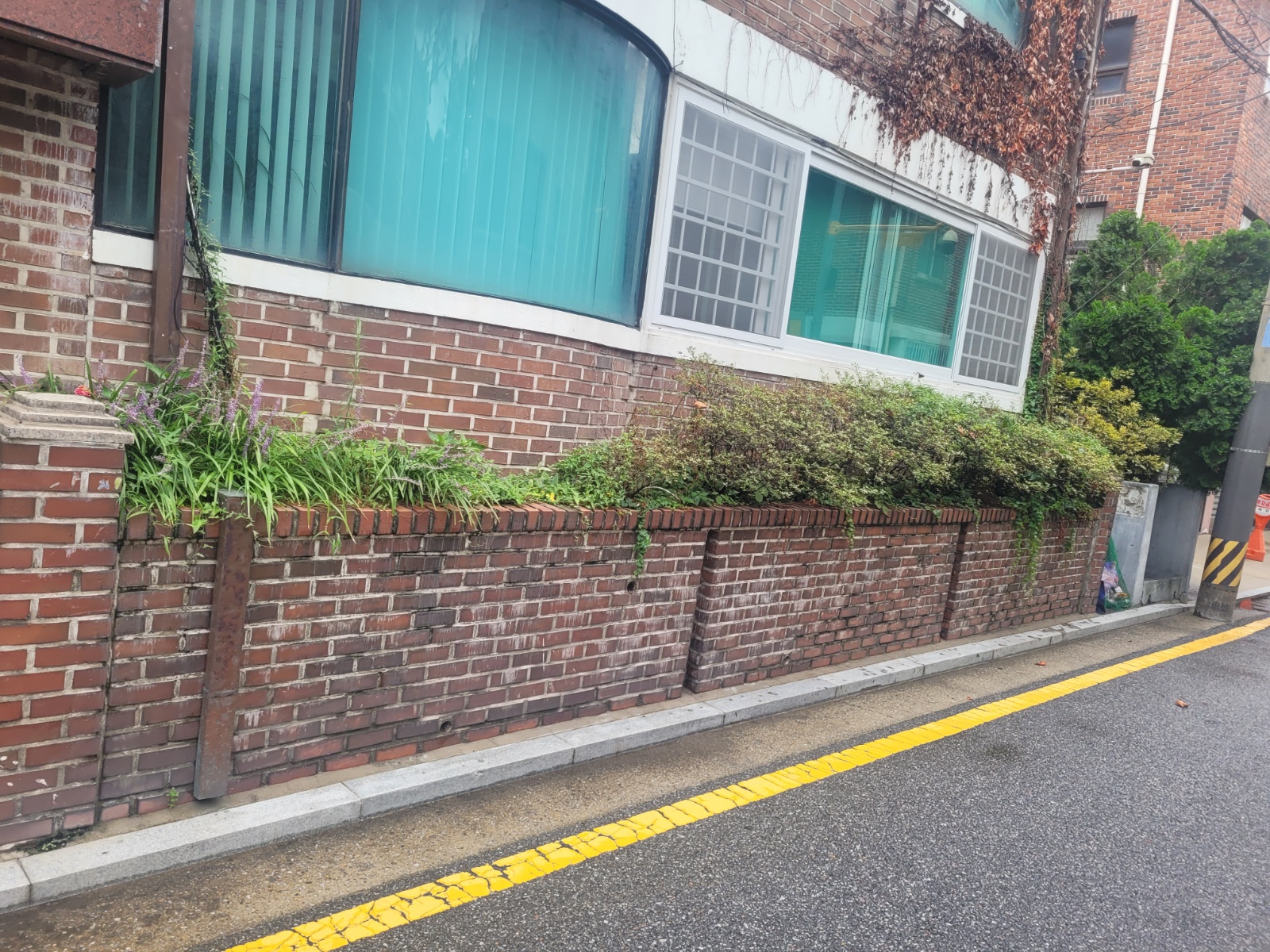화단 정리해 주실분 공고 썸네일