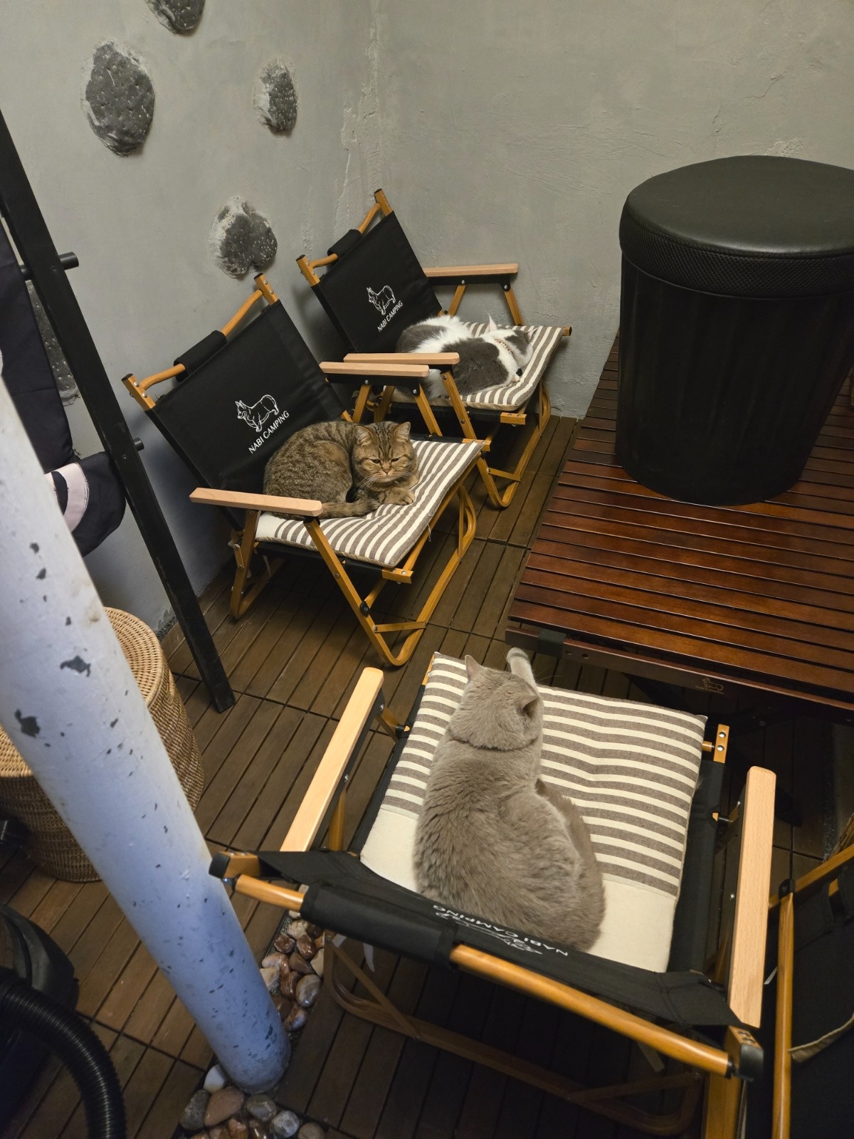 주방 보조겸 설거지 하실분 구해요. | 홍담 | 서교동 | 당근 알바