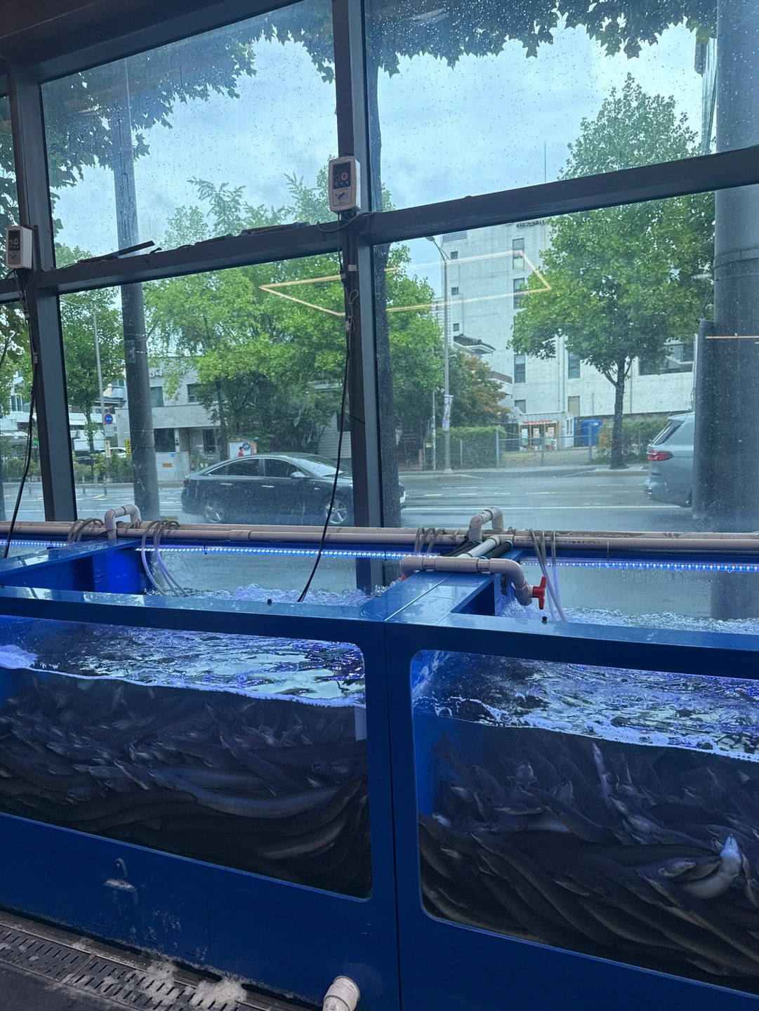당일 홀서빙급구
