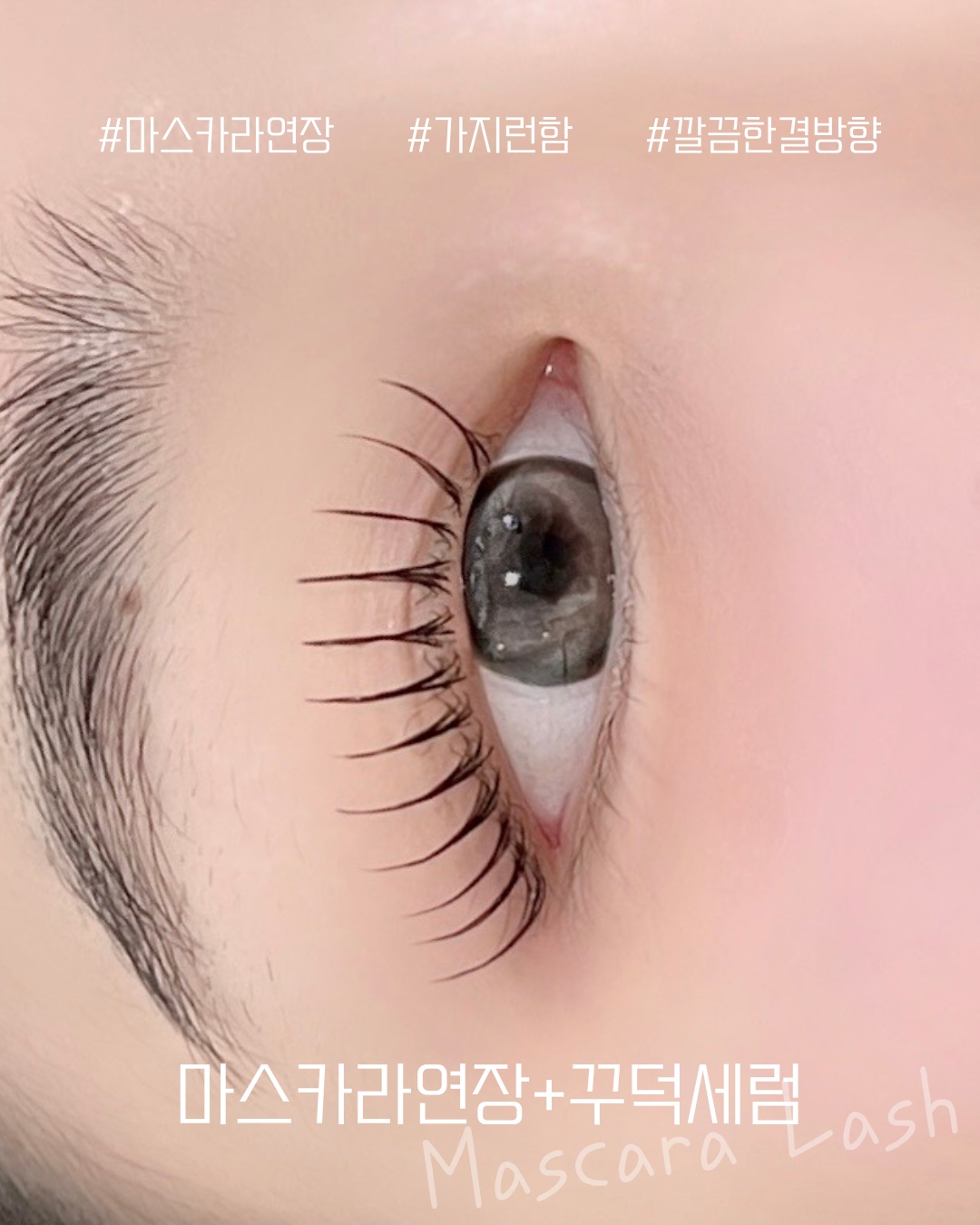 속눈썹연장 알바하실분 공고 썸네일