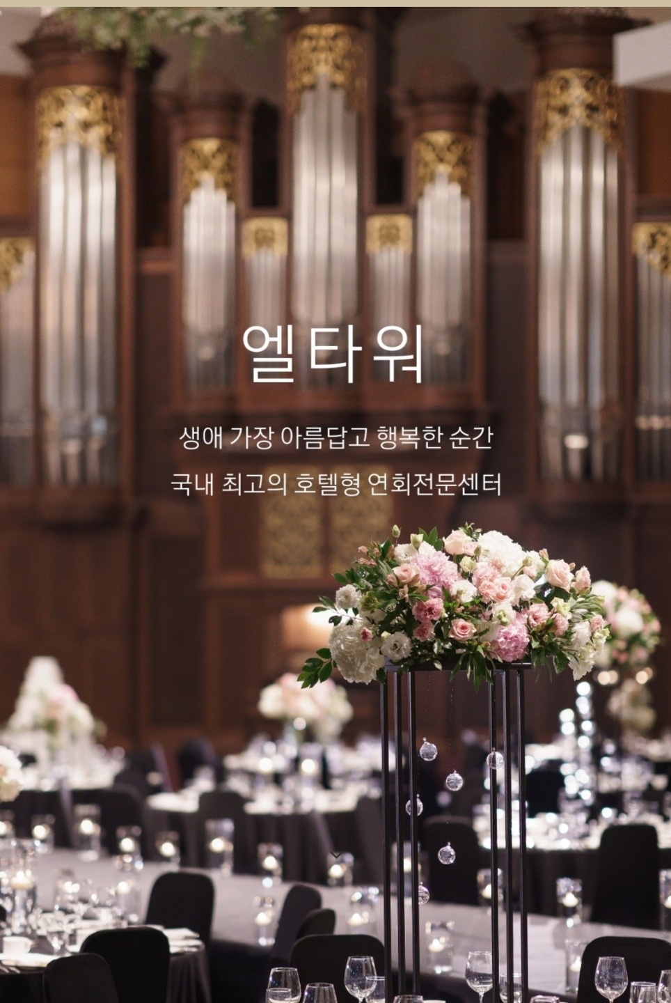 [높은일급]19(토) 양재역 엘타워 세척보조단기알바 공고 썸네일