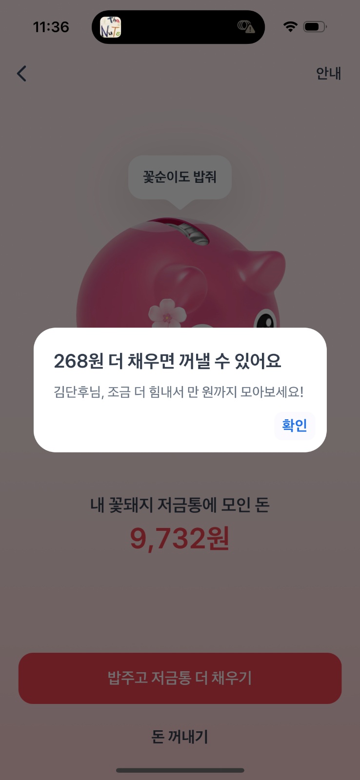 꽃돼지 해주세요 공고 썸네일