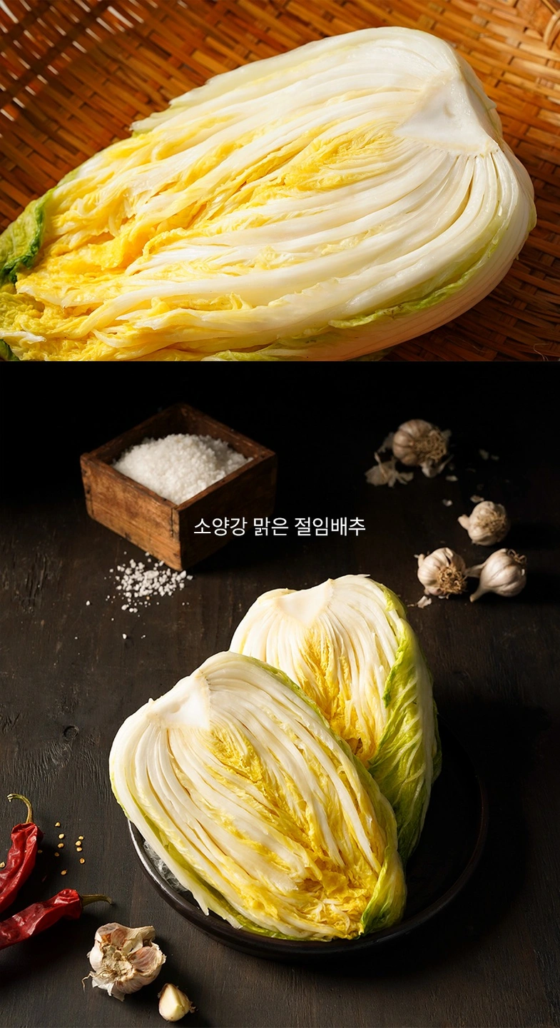 김장철 고액알바 시급13,000원