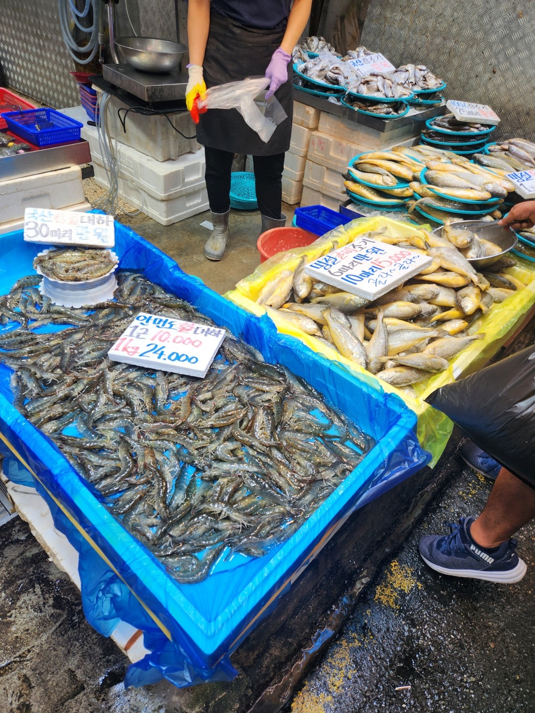 광명동 광수산 아르바이트 장소