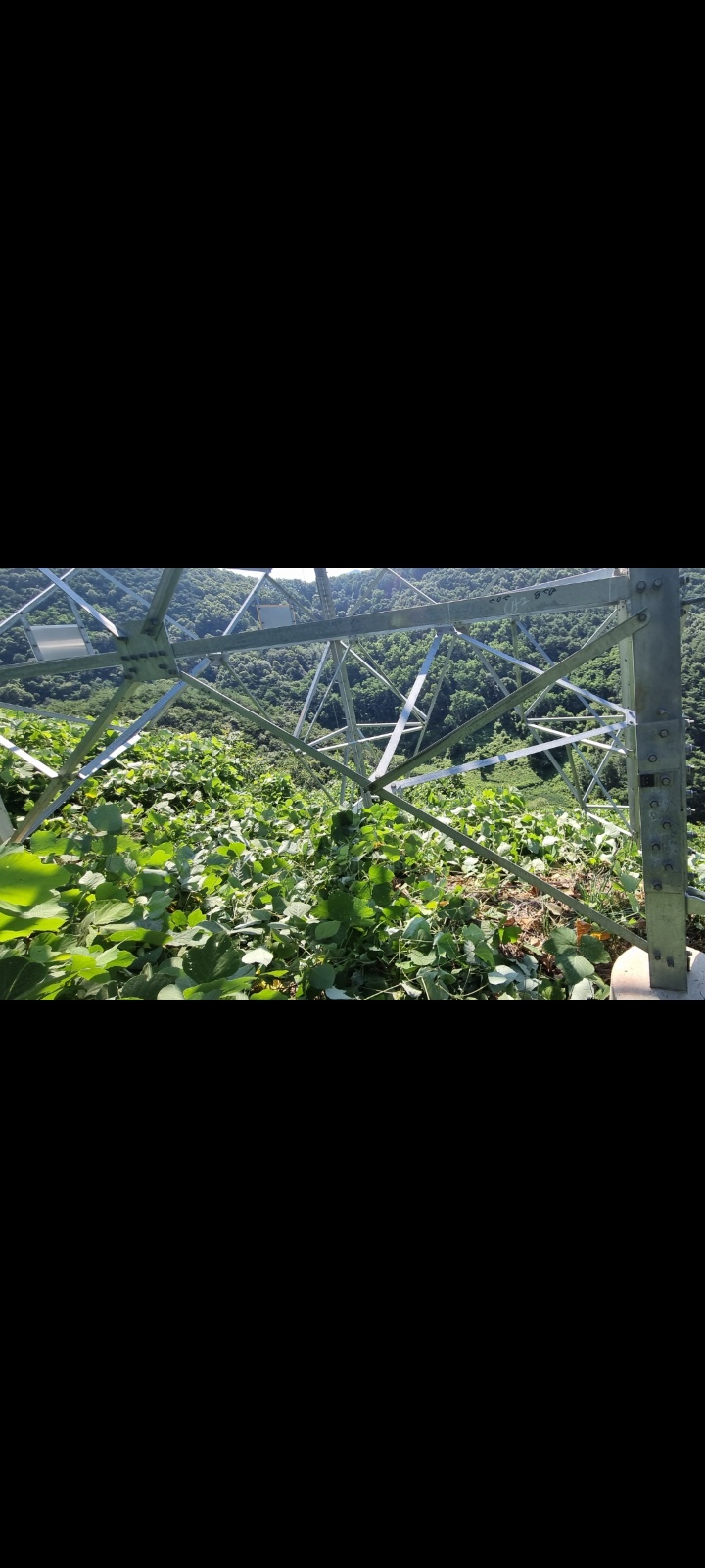 예초기업무관련(등산필요) 공고 썸네일