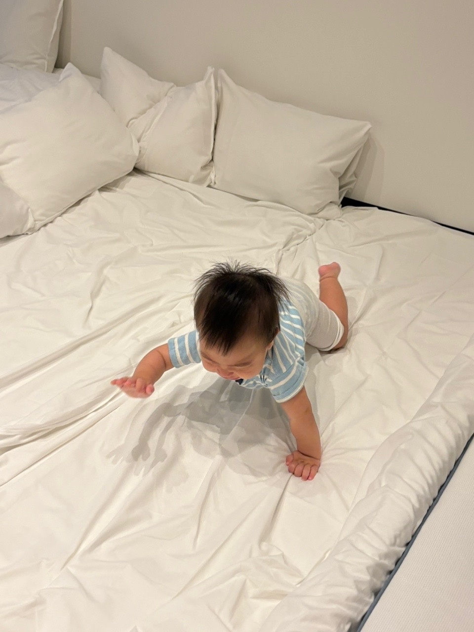 책을 재미나게 아기에게 읽어주실 선생님 모십니다! 공고 썸네일