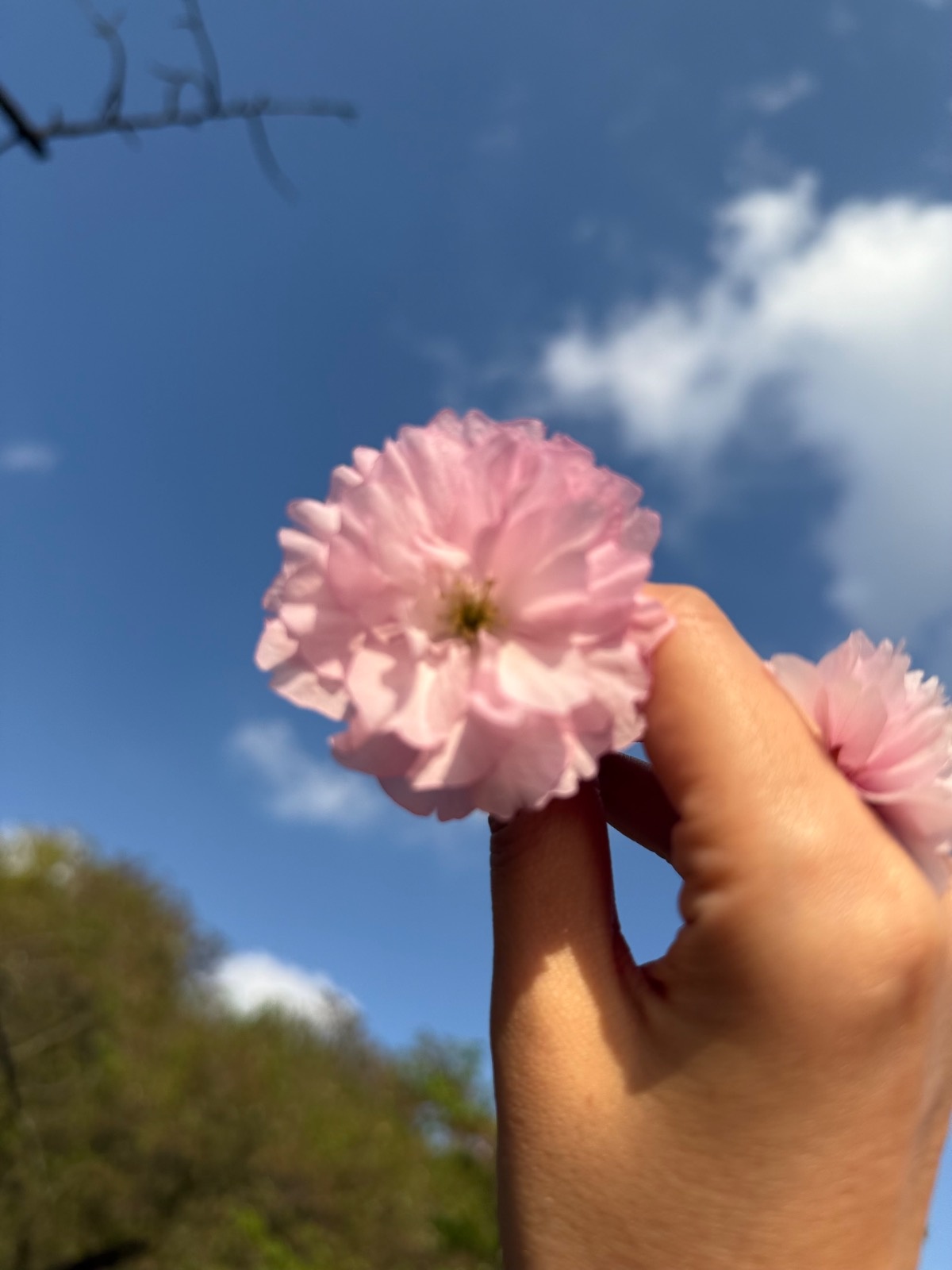 호암동소재 아파트 요양보호사님 공고 썸네일