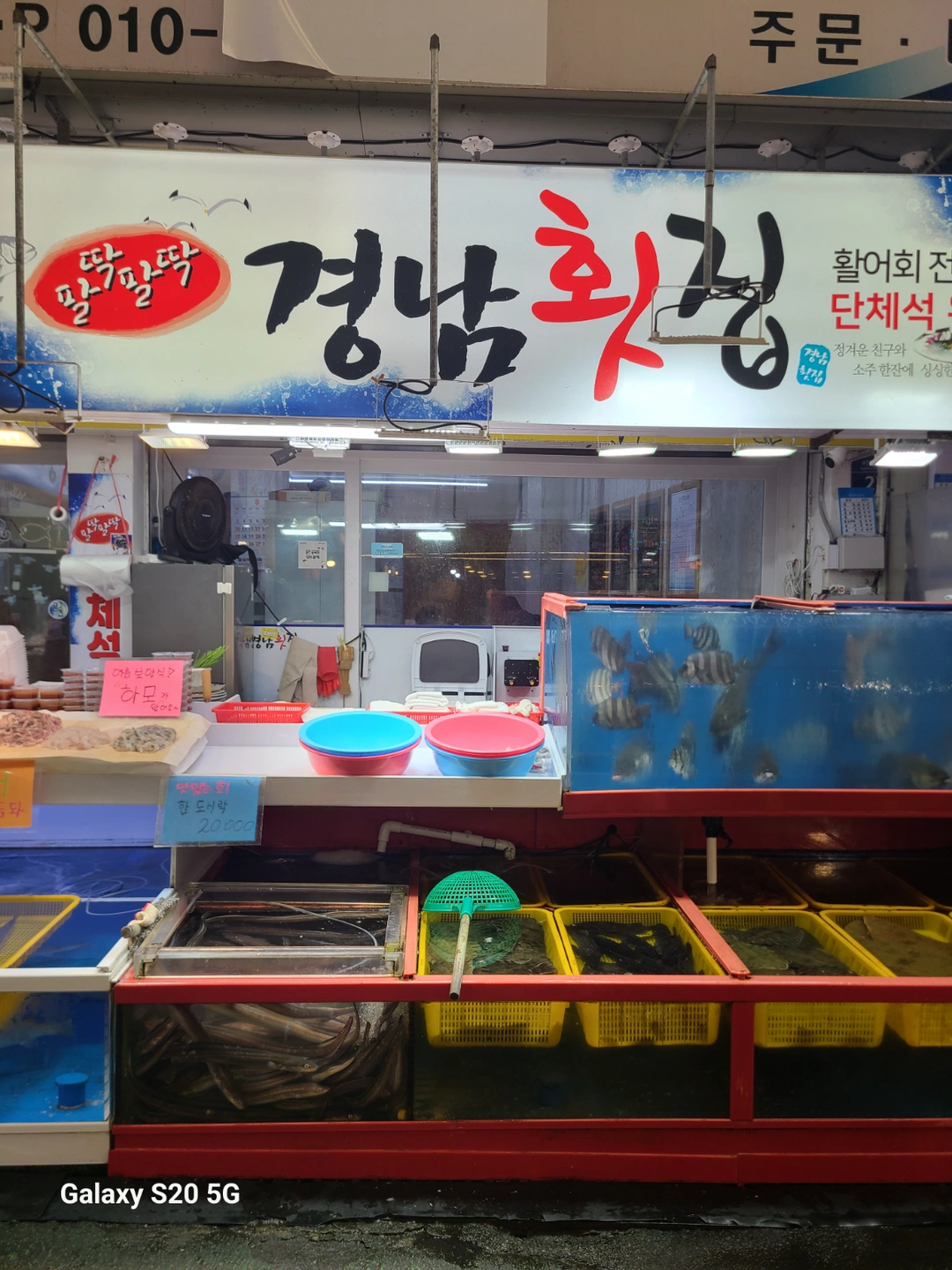 횟집 주방여 성분 구합니다 (외국인 절대사절)