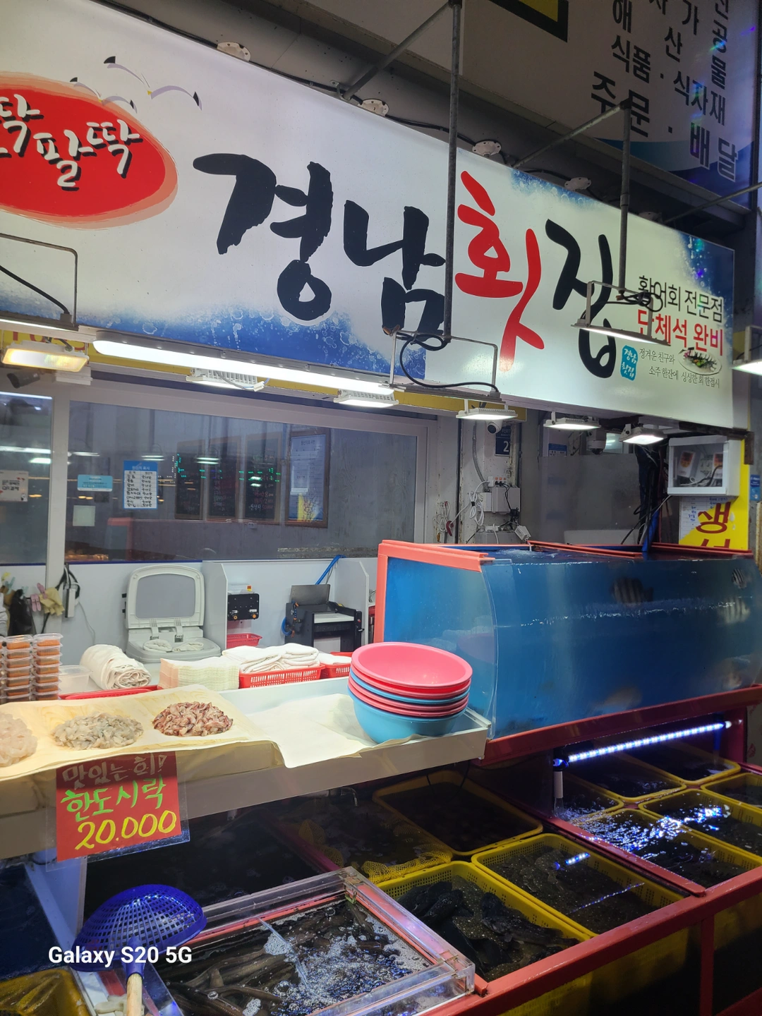 회손질 잘하시는분 구합니다(외국인 사절)