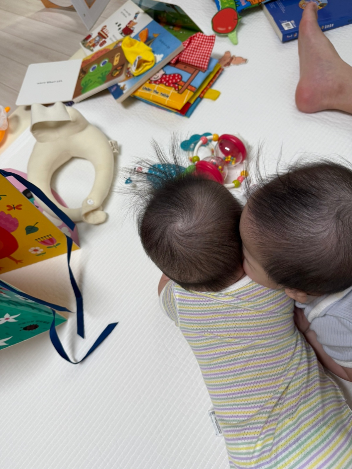6개월 여아쌍둥이 육아 도와주실 분 모십니다. 공고 썸네일
