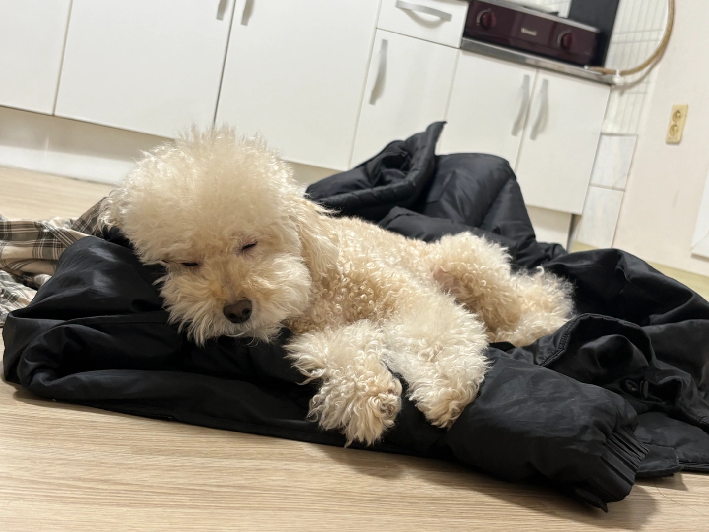 설거지 도와주세요 ㅜ