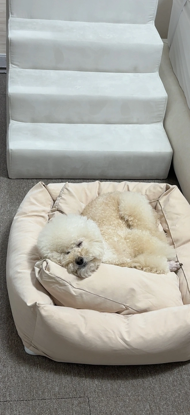 설거지 도와주세요 ㅠㅠ