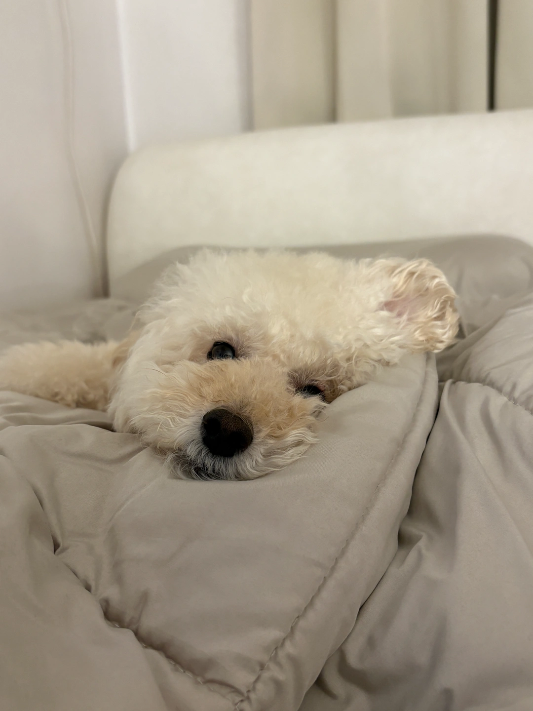 설거지 도와주실분 구합니다ㅠㅠ