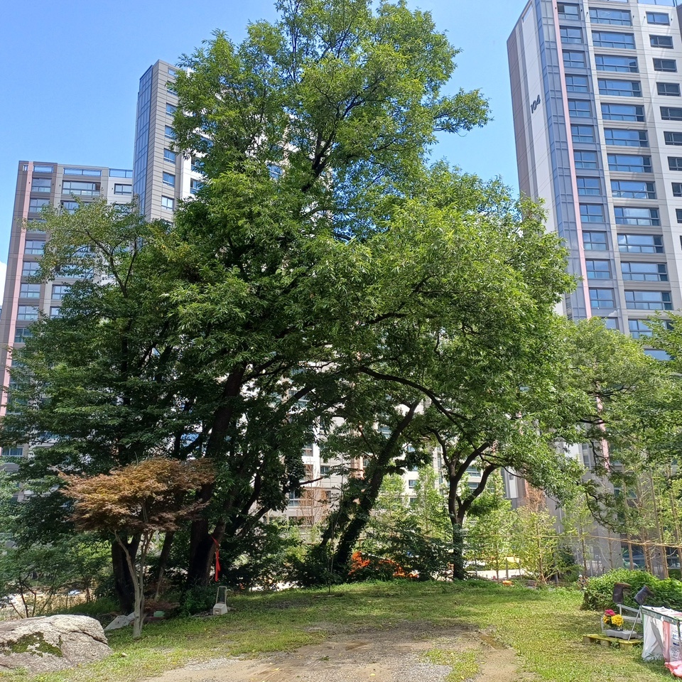 시설관리직원 공고 썸네일
