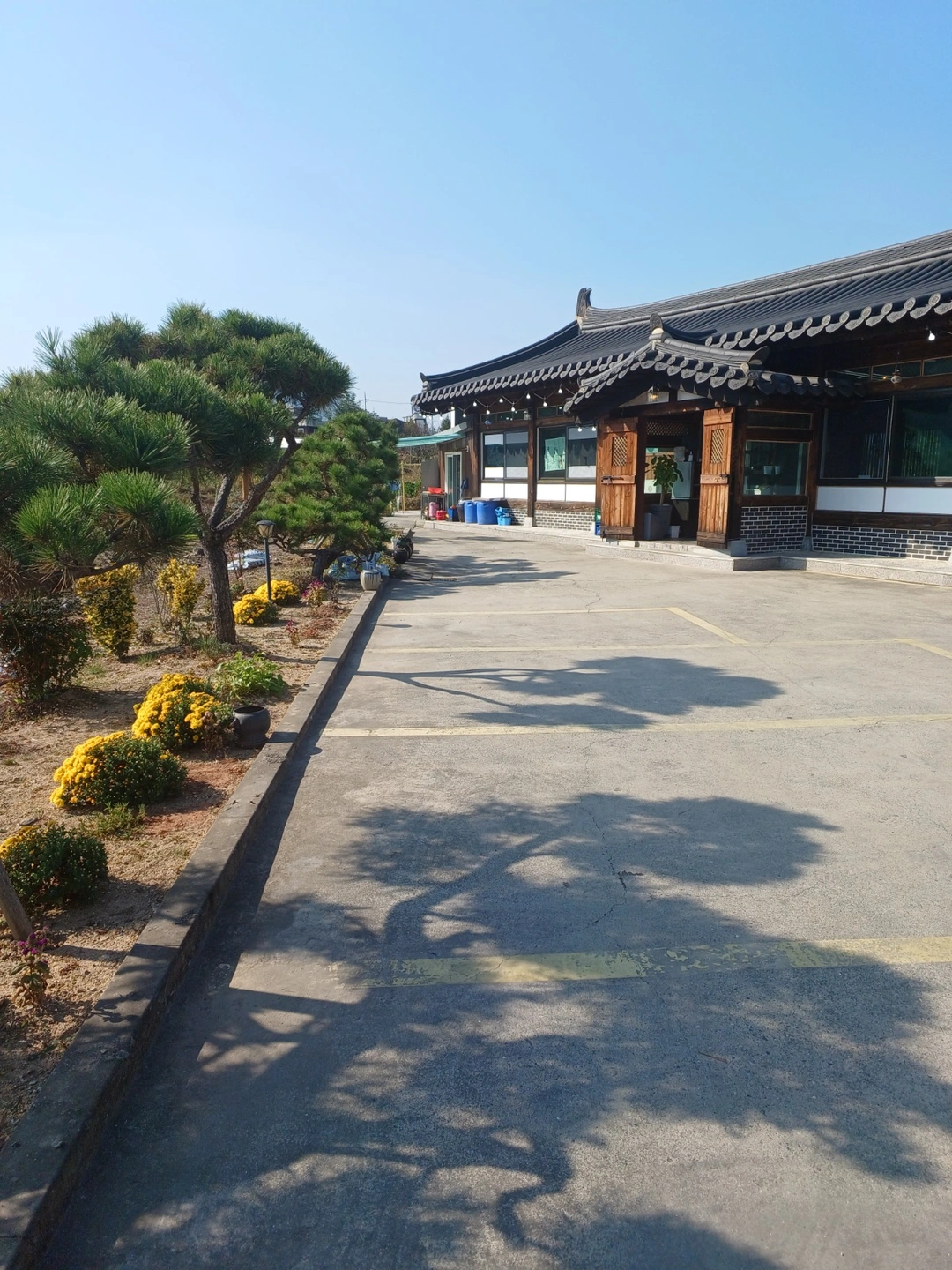 홀이모님 찾습니다