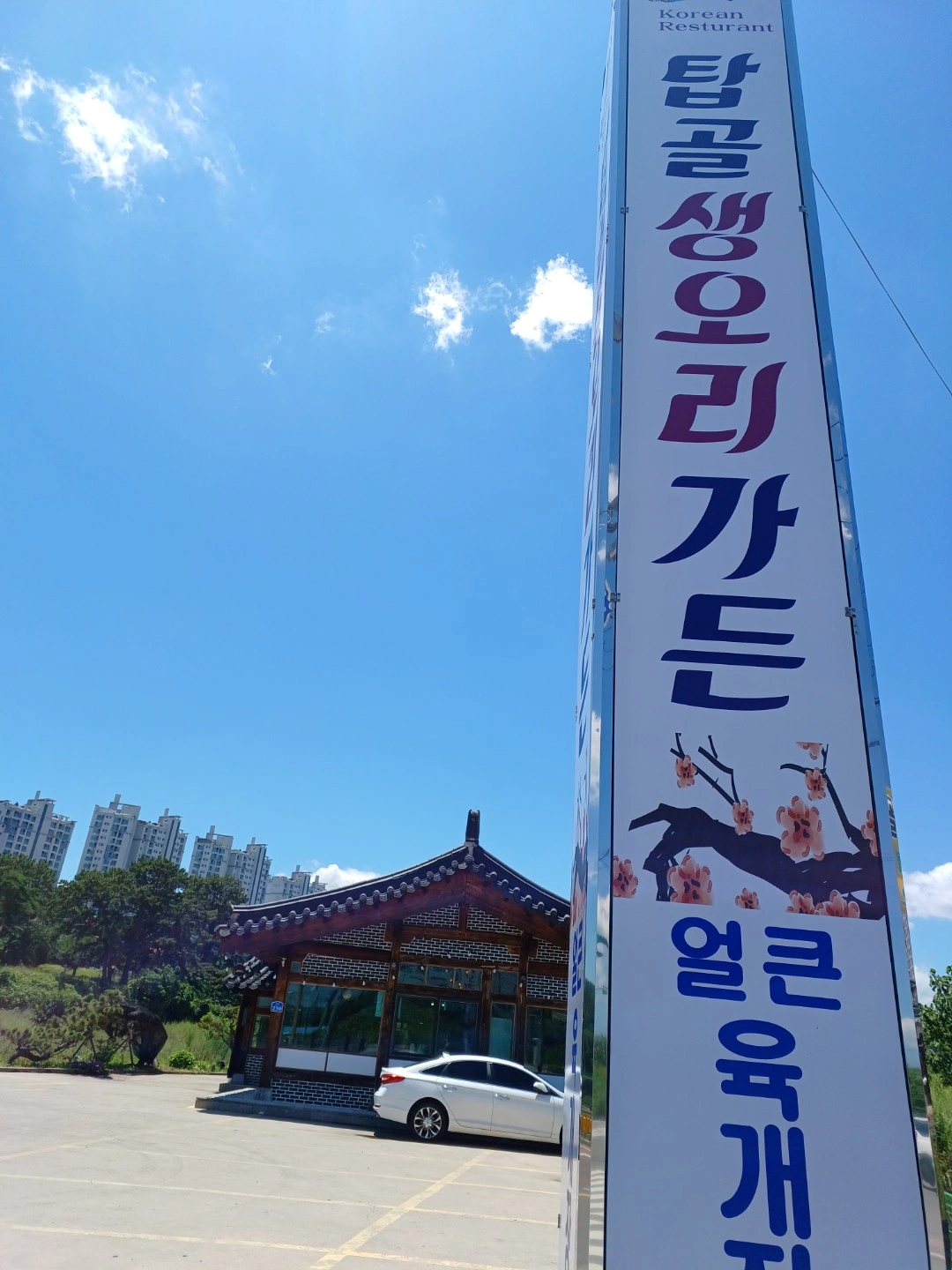 주방보조/설거지
