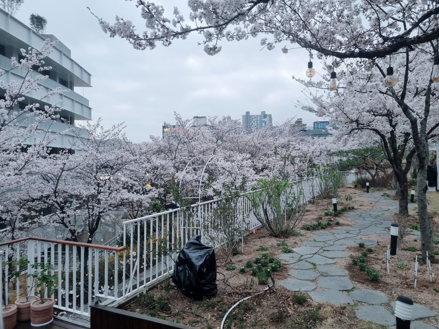 두산동 뉴욕뉴욕웨딩 아르바이트 장소