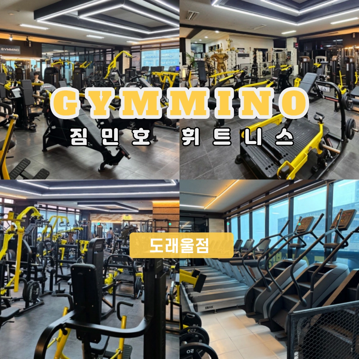 헬스장 오전 인포