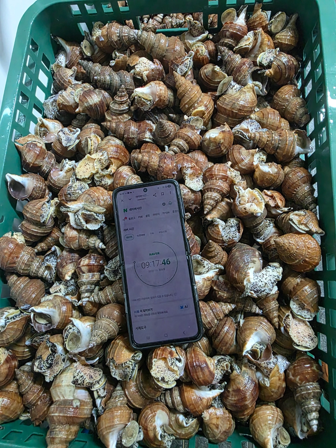 농수산물 소분포장 알바하실분.