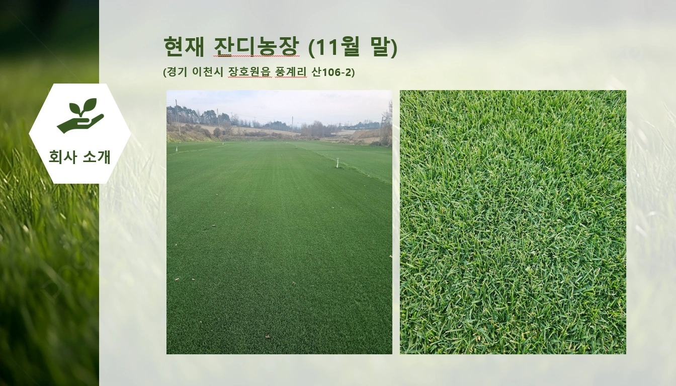 골프장 그린보수 구인