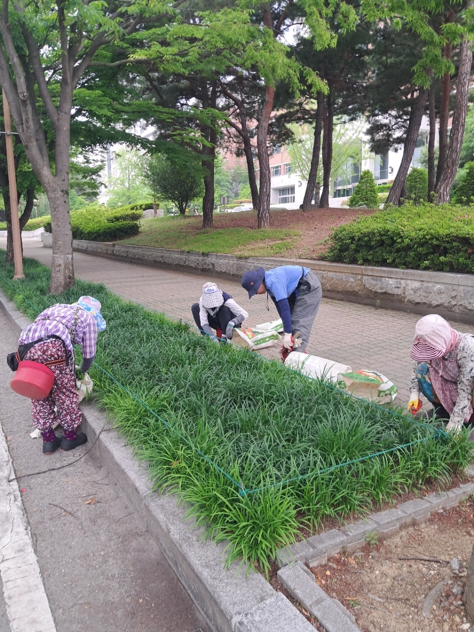 잡초뽑기 장기인력 모집