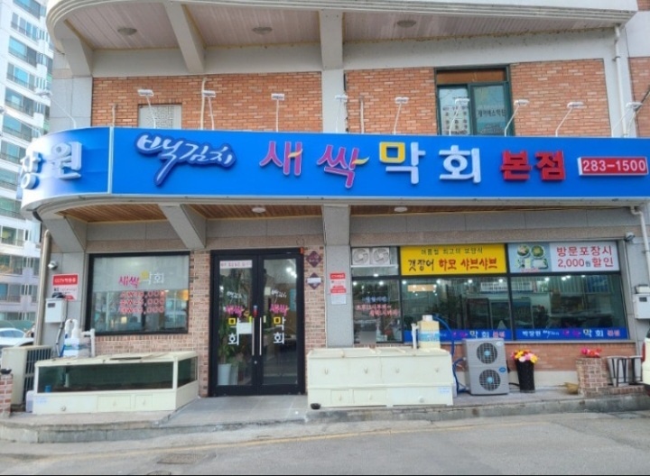 박장원백김치새싹막회 홀서빙 구함 공고 썸네일
