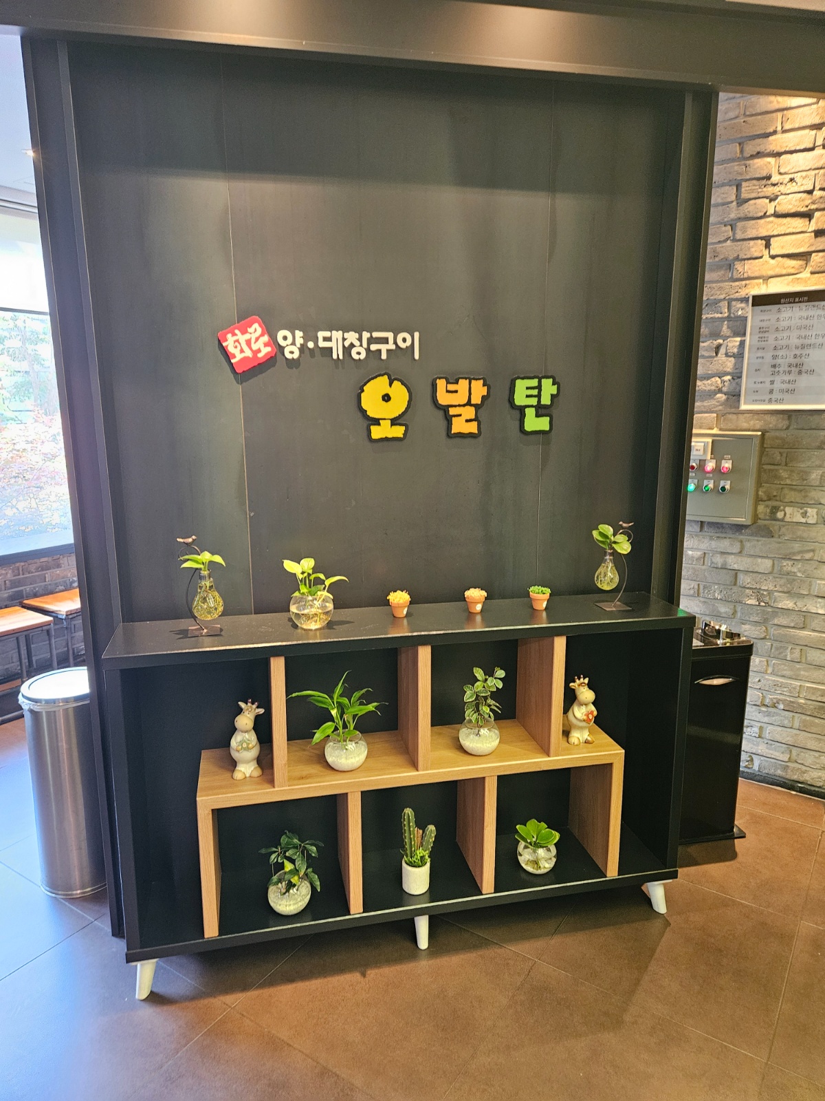 오발탄 서현점 (**) 식구를 찾습니다 공고 썸네일