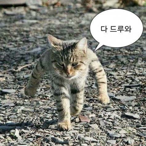 행사 스텝 꿀알바 하실분~ (선착순) 공고 썸네일