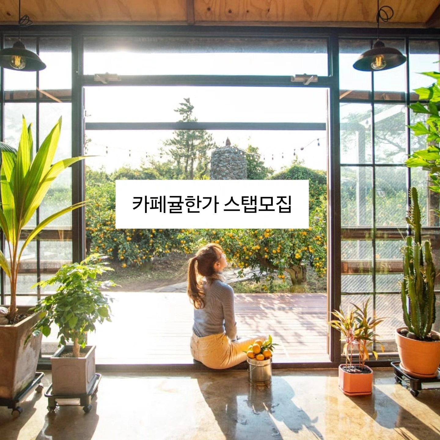 카페귤한가에서 평일, 주말 알바 구합니다.