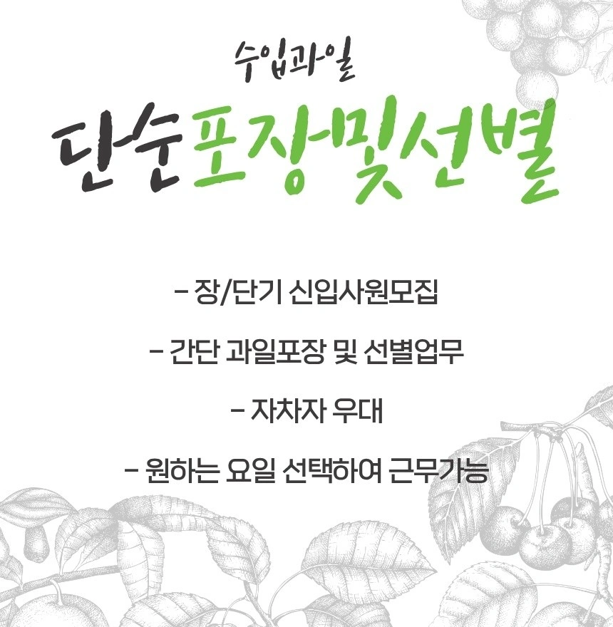 수입과일 물류센터/시급13621원/오산가수동/편한업무/