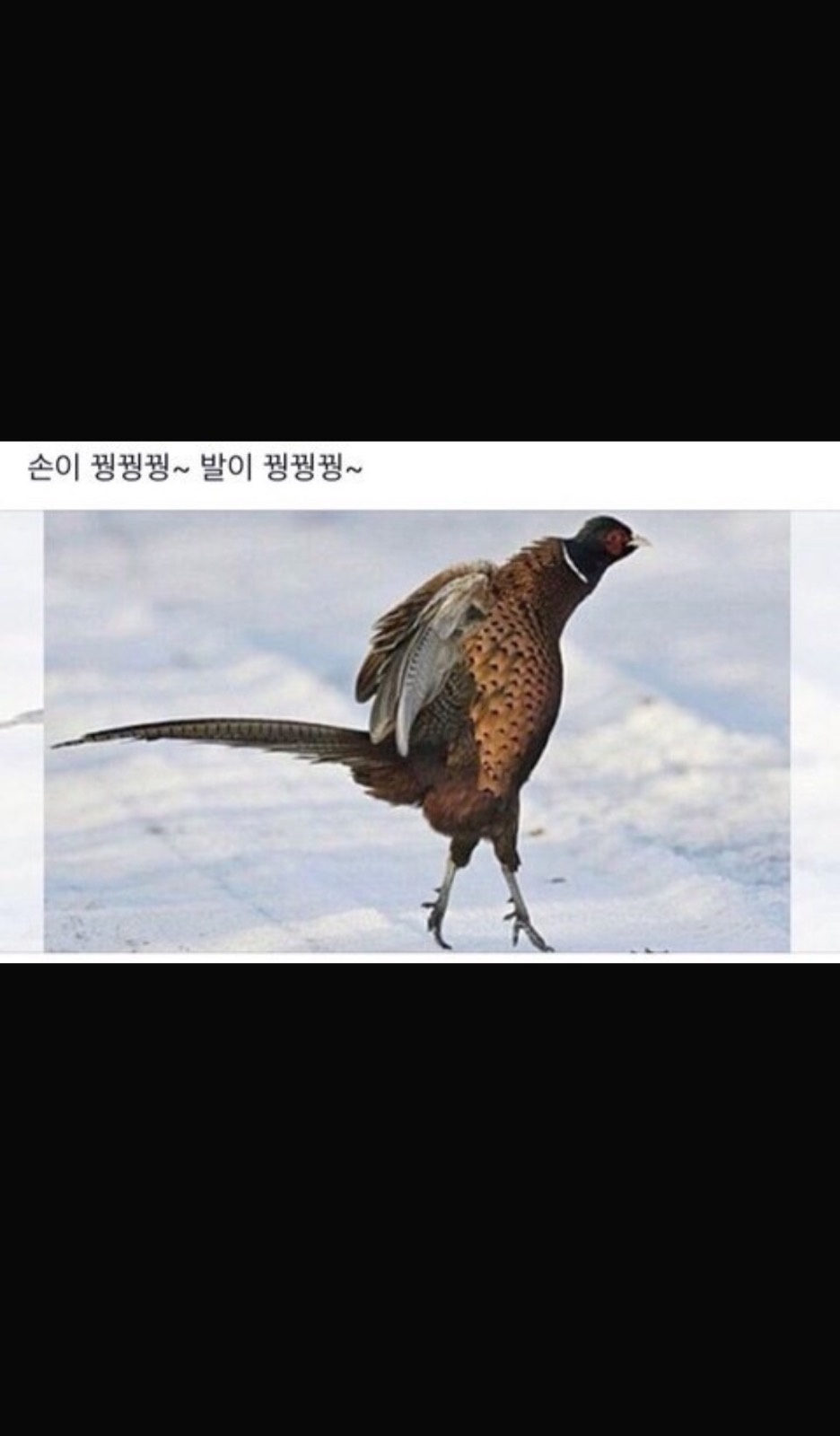 알바