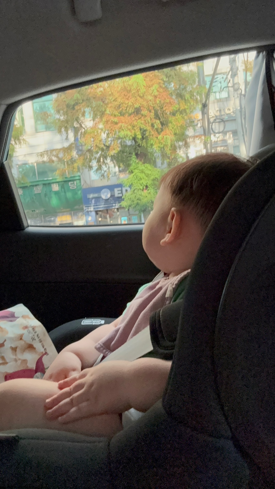 12개월 아기 돌봄 (주2회 3시간) 공고 썸네일