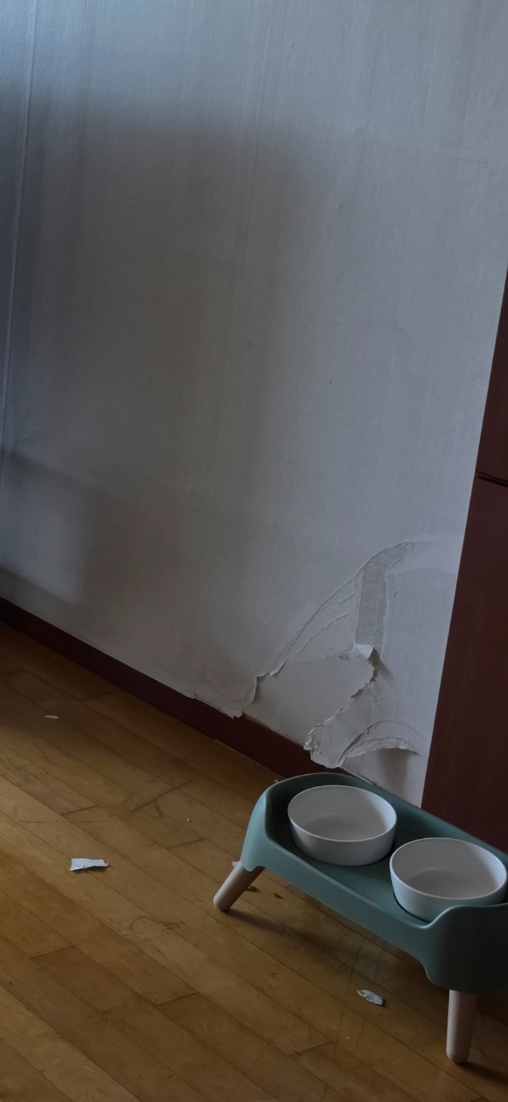 벽지랑 시트지 부분도배 가능하신분 찾아요 공고 썸네일