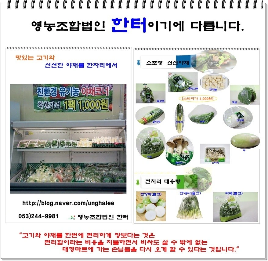 월수금 야채포장, 대파 박피,세척 사오십 여2분