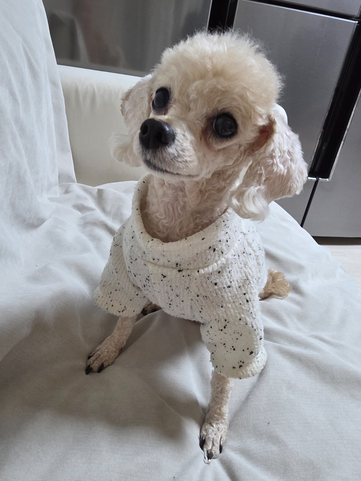 한달에 2번 집청소해줄 이모님 구해요 공고 썸네일