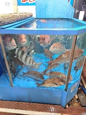 홀써빙구합니다