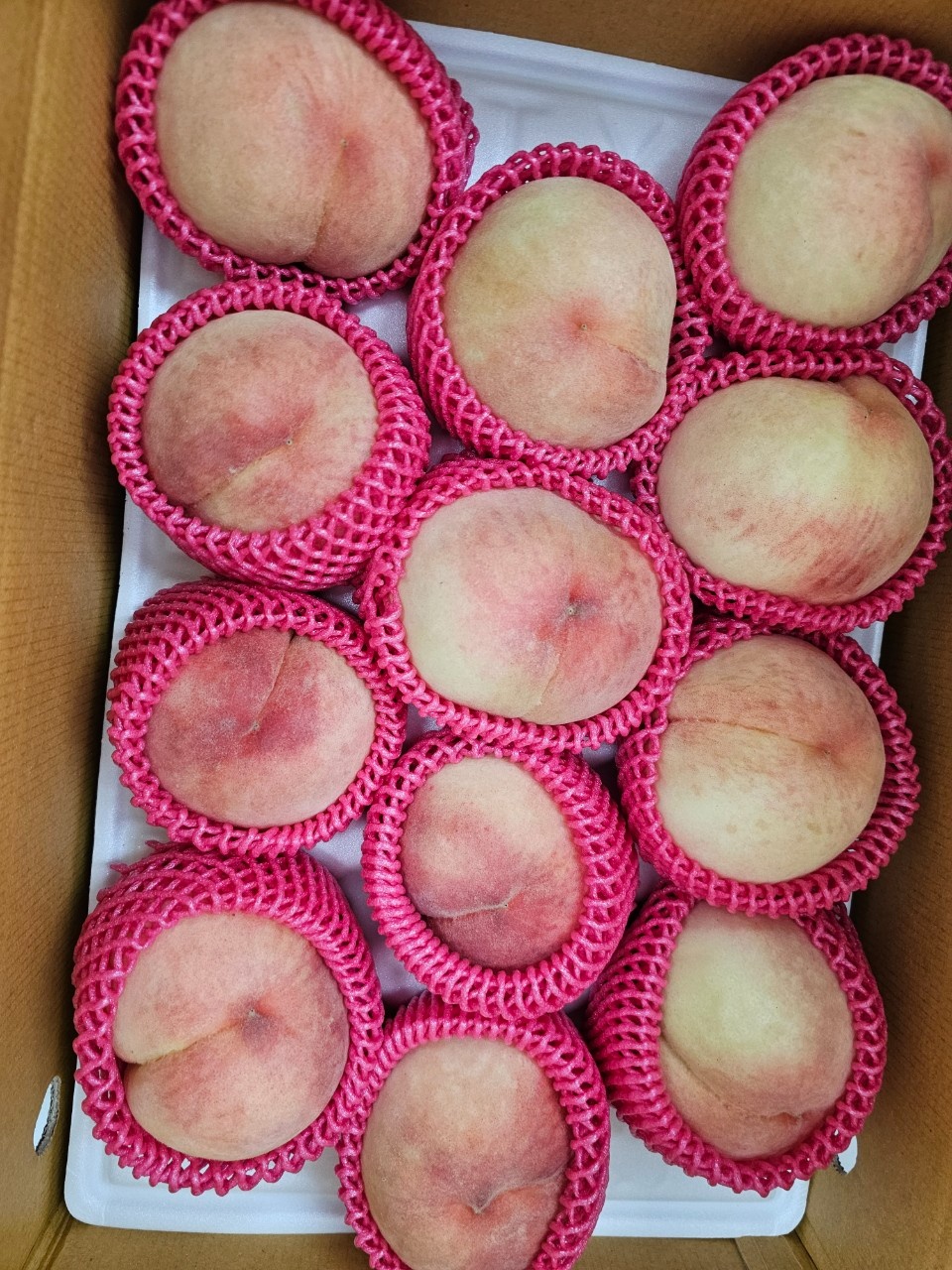 포장알바 구합니다 공고 썸네일