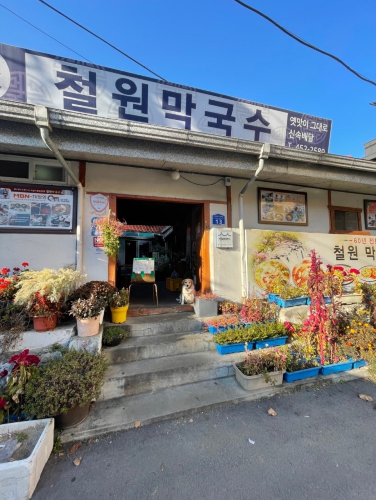신철원 철원막국수에서 일하실 직원을 구합니다. 공고 썸네일