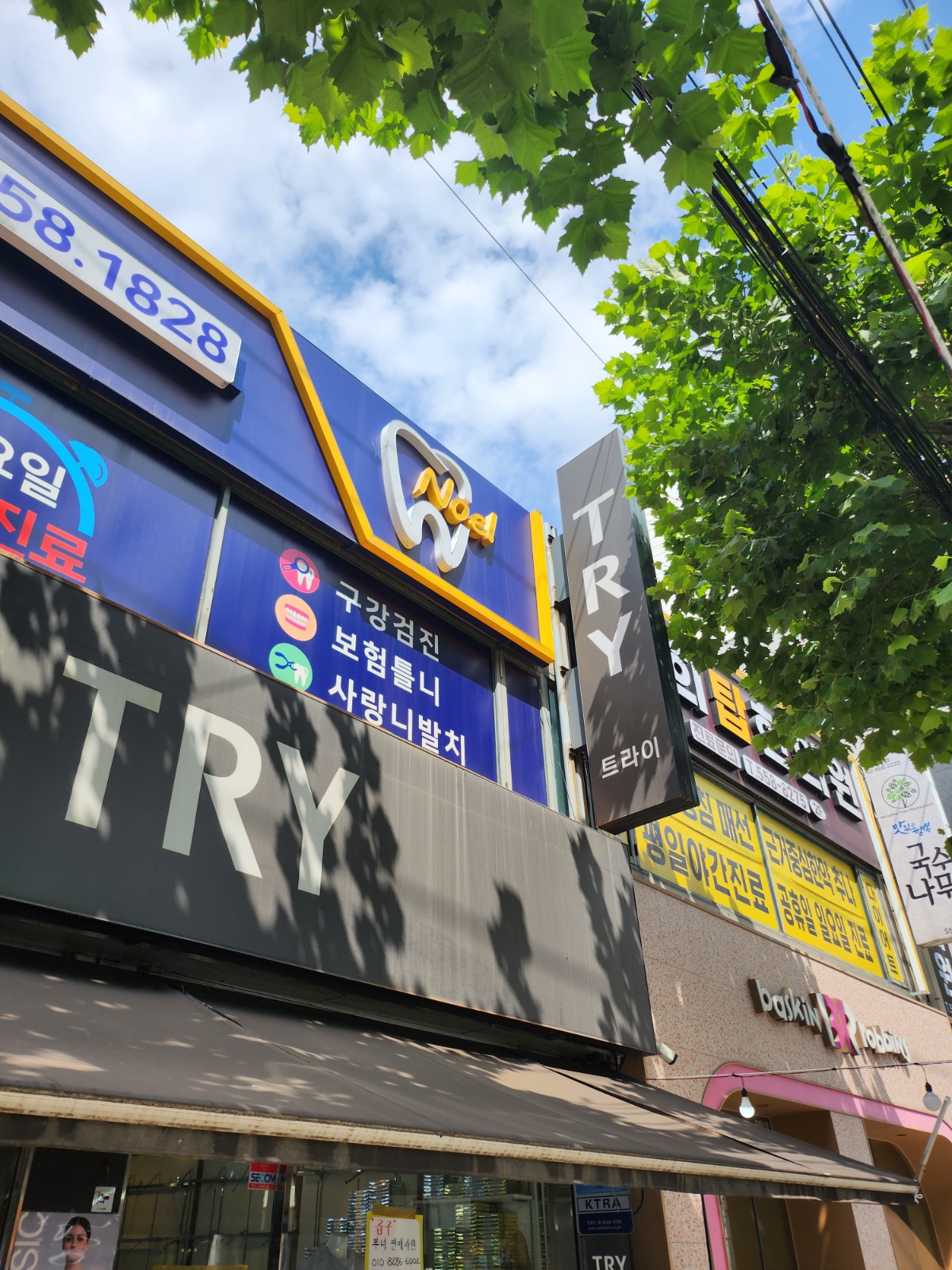 트라이알바구함 공고 썸네일