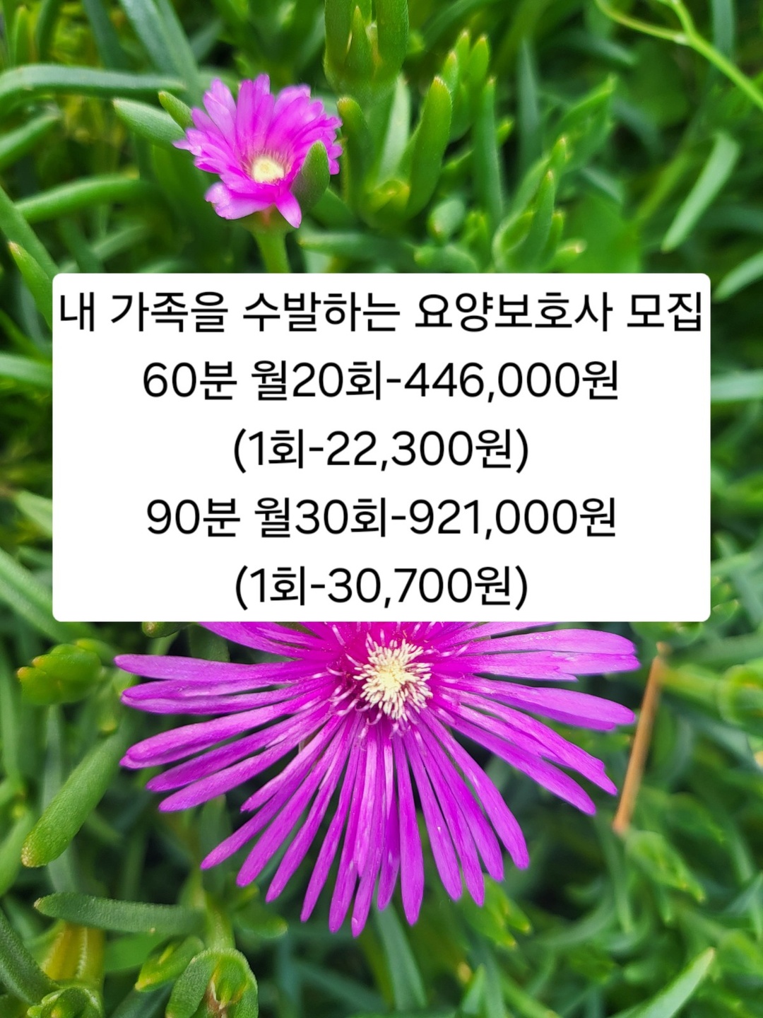 고아읍 장수노인복지마을 아르바이트 장소