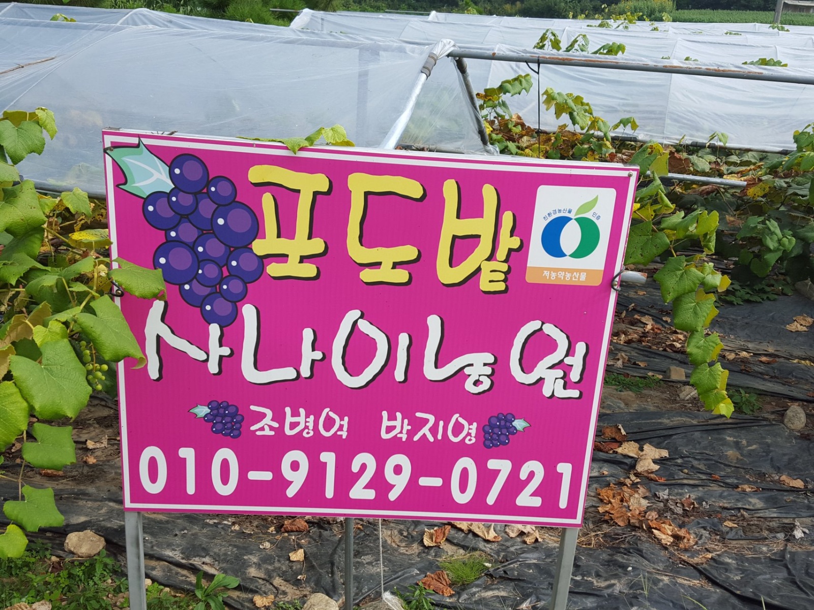 3주 단기알바 구합니다. 공고 썸네일