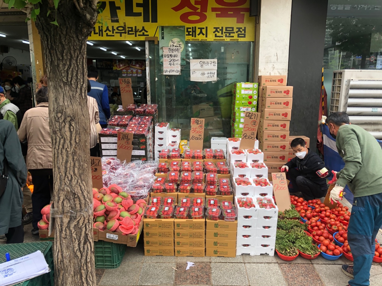 야채과일가게 계산원 모집합니다 공고 썸네일