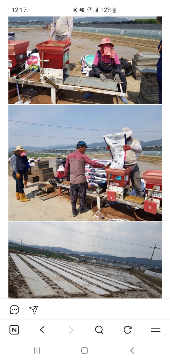 4월 29일(수) 못자리파종 도와주실분 구합니다.
