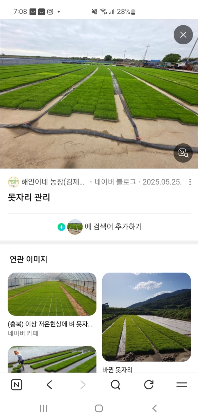 못자리 날라주실분
